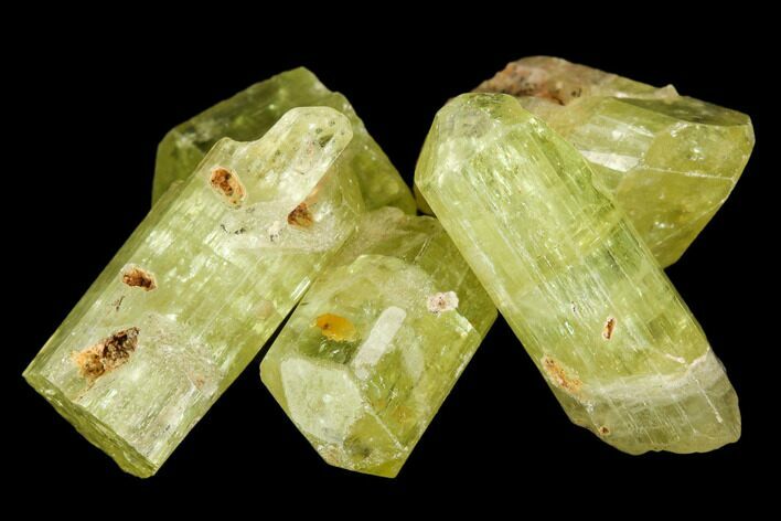 Five Yellow Apatite Crystals ( - ) - Pieces #108361